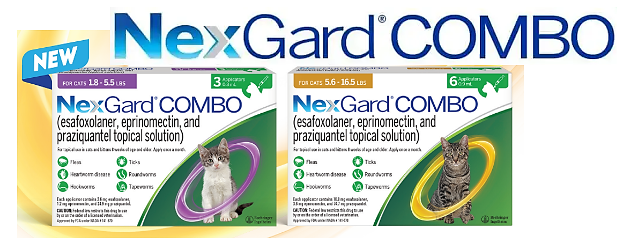 NexGard Combo