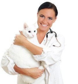 veterinarian