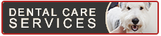 Dental Care Services