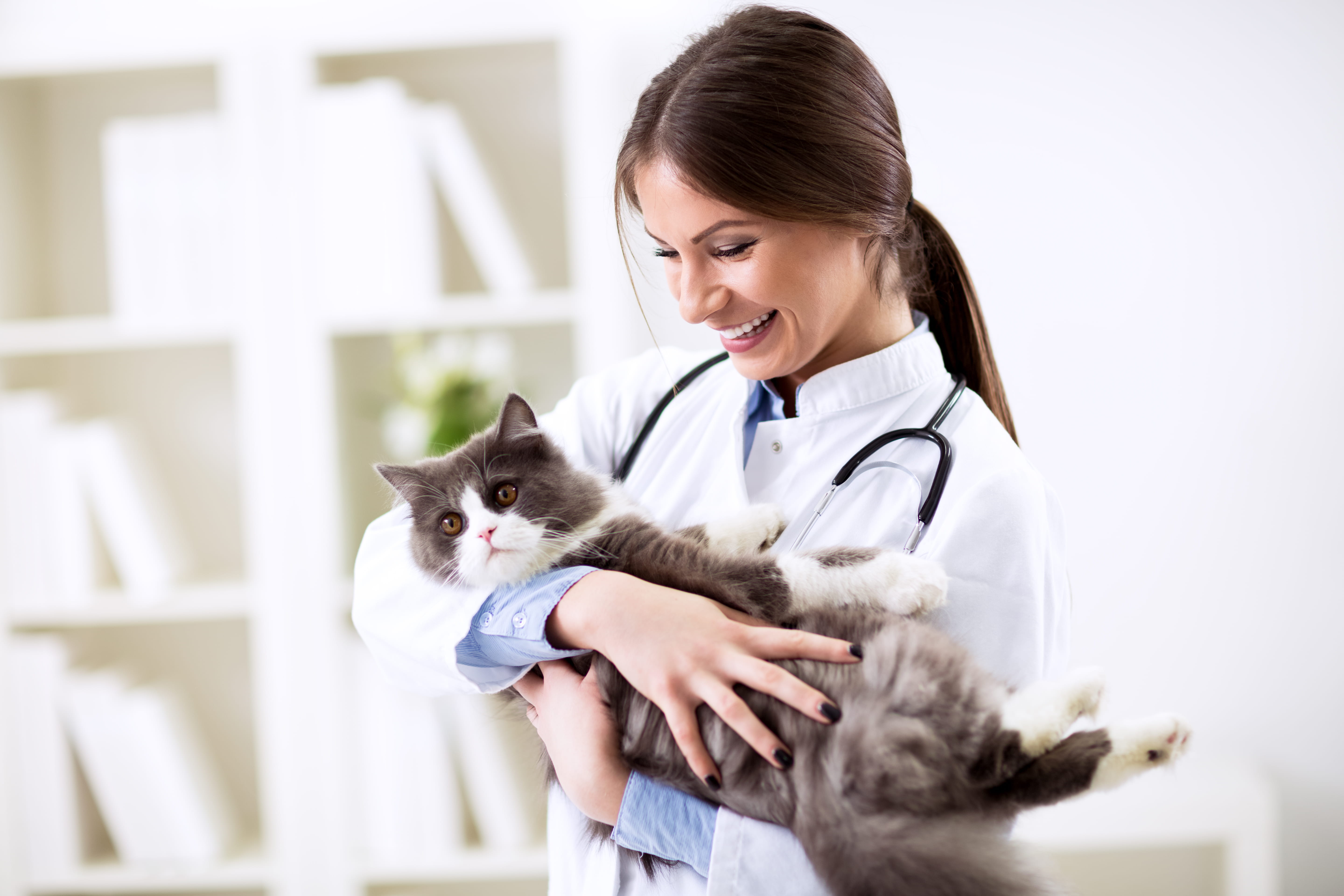 Dog and Doctor