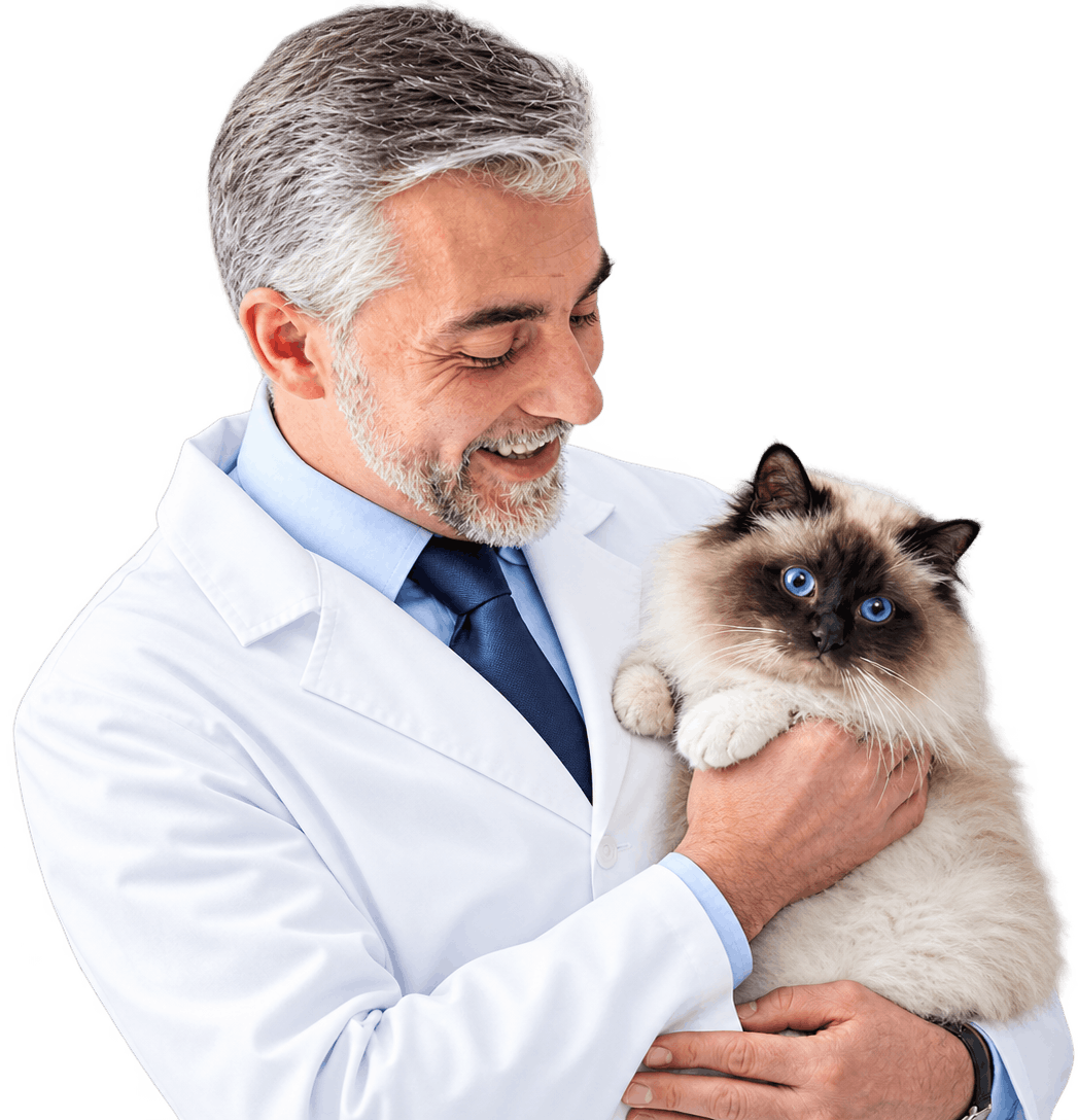 Doctor Holding Cat
